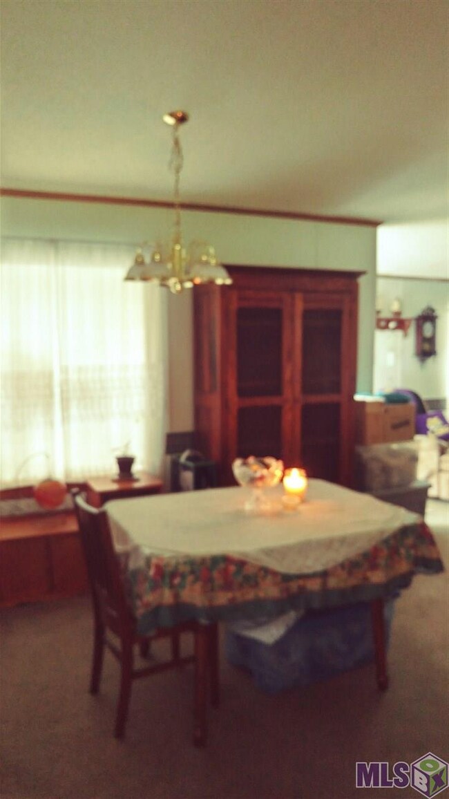 36165 Reinninger Rd, Denham Springs, LA 70706 - photo 6