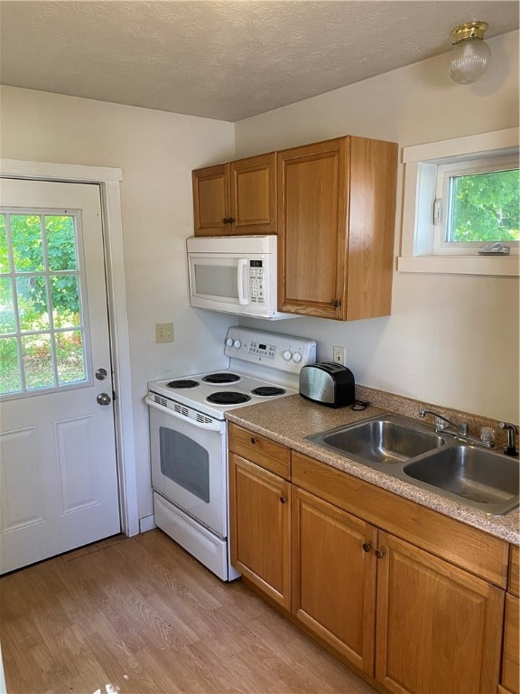 102 Ontario St, Edinboro, PA 16412 - photo 4