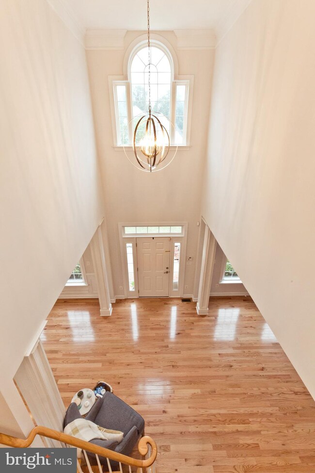 7216 White House Dr, Springfield, VA 22153 - photo 2