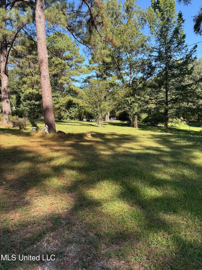 77 Magnolia Acres Rd, Natchez, MS 39120 - photo 2