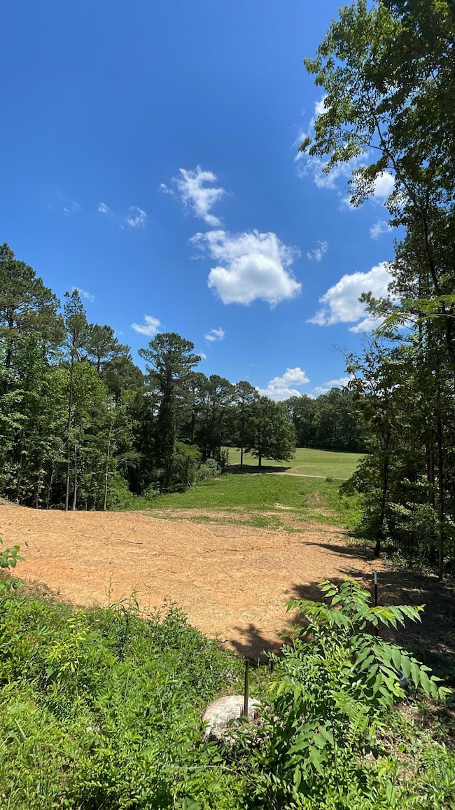 0 Sellers Rd unit 24-1090, Dora, AL 35062 - photo 2