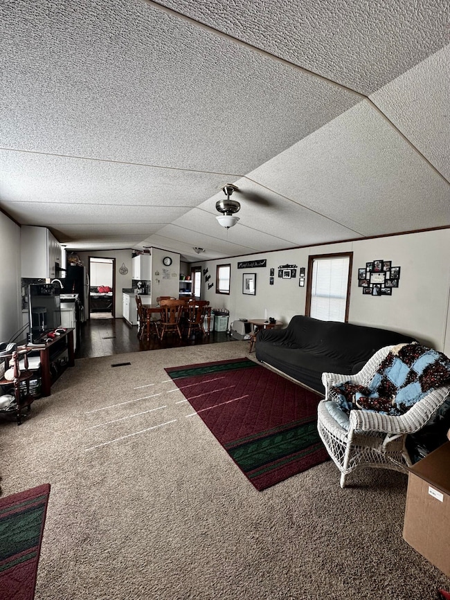 4296 Birmingham Ave, Wayland, MI 49348 - photo 4