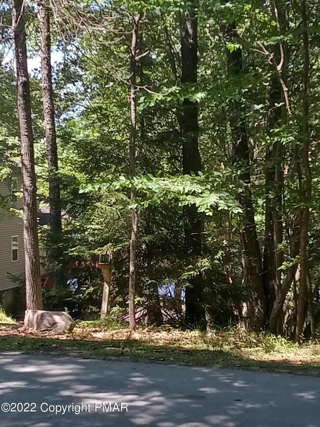 32-34-7 Lake Shore Aka Arrowhead Dr, Pocono Lake, PA 18347 - photo 4