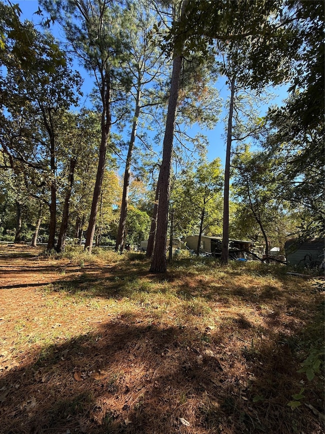 0 Alabama, Onalaska, TX 77360 - photo 6