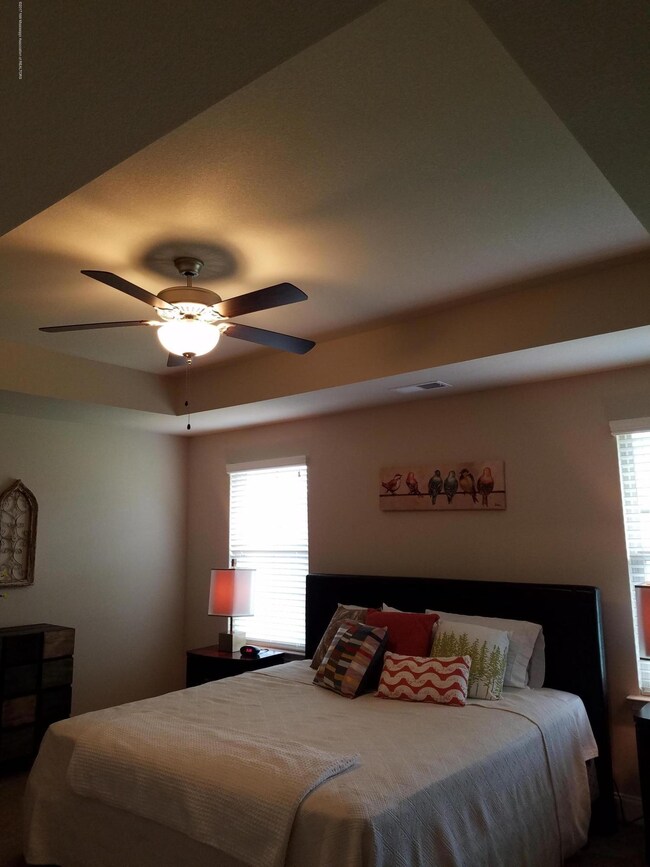 MASTER BEDROOM TRAY CEILING