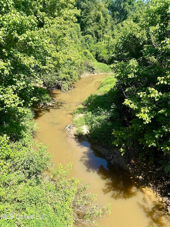 0 Broome Rd, Wesson, MS 39191 - photo 2