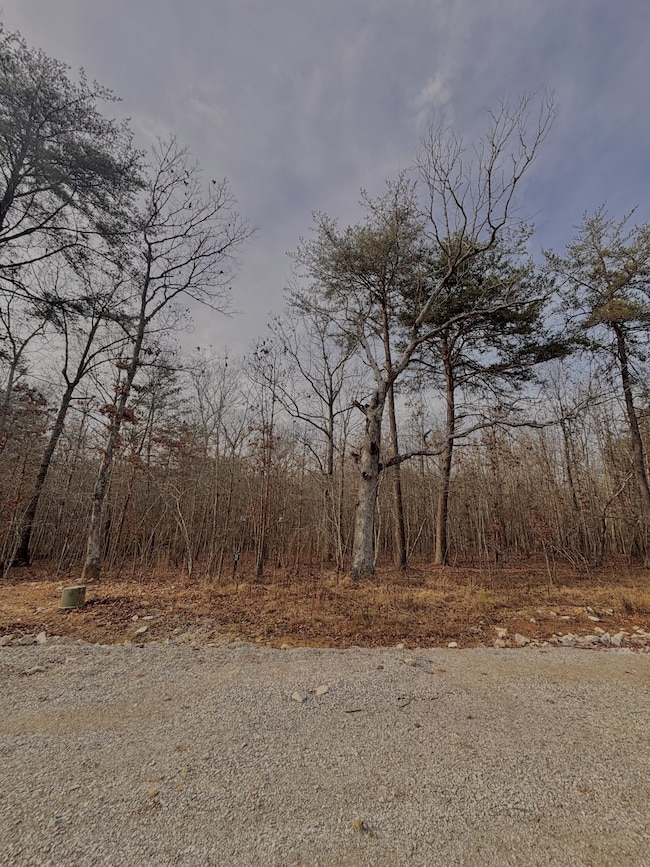 0 Summerfield Rd unit RTC3056691, Monteagle, TN 37356 - photo 3