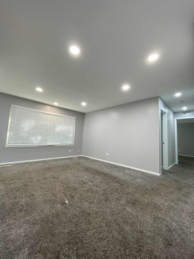 690 Thorntree Ct unit D1, Bartlett, IL 60103 - photo 2