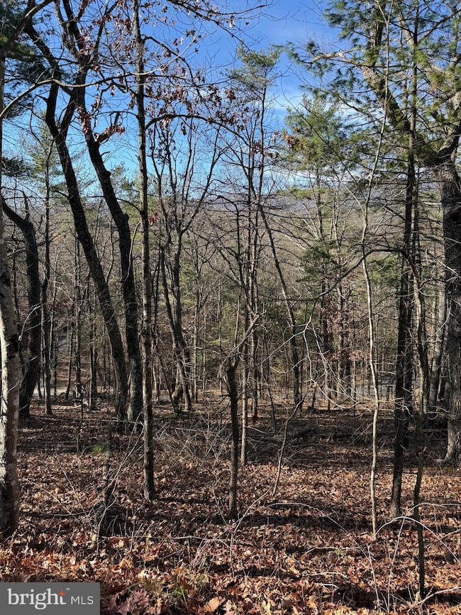 0 Susan Rd, Mount Jackson, VA 22842 - photo 2