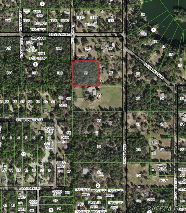 3501 N Linda Point, Hernando, FL 34442 - photo 7