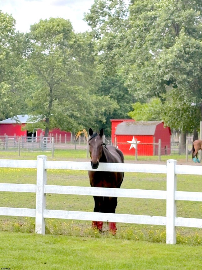 3142 Moss Mill Rd, Hammonton, NJ 08037 - photo 6