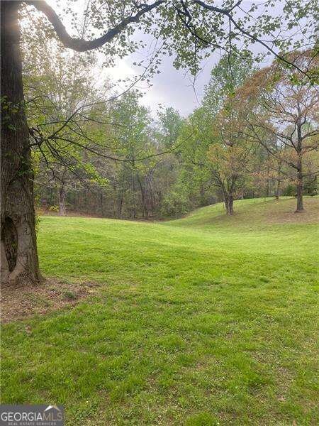 0 Hilltop Ln unit 10606063, Clarkesville, GA 30523 - photo 6