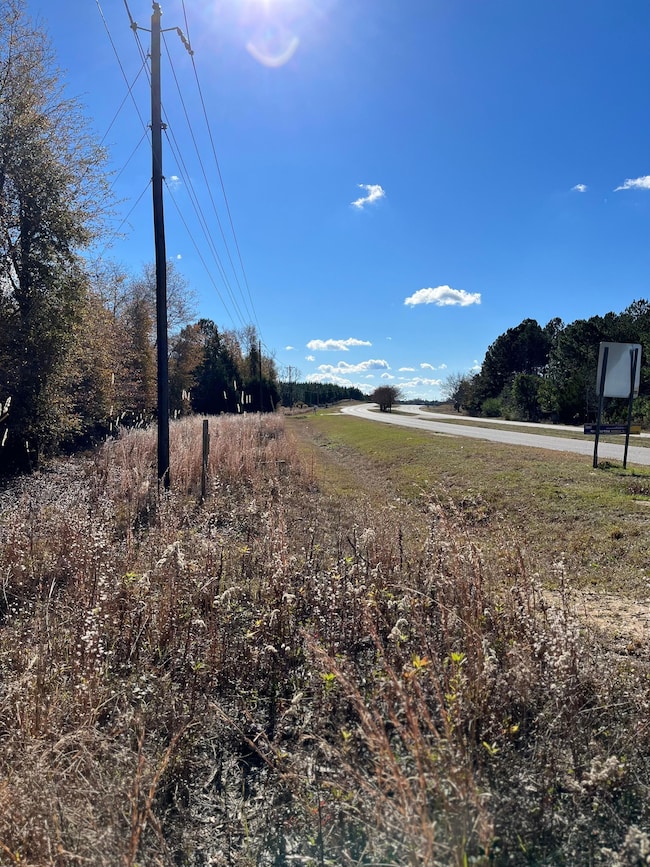 492 Southbound Rd, Swansea, SC 29160 - photo 3