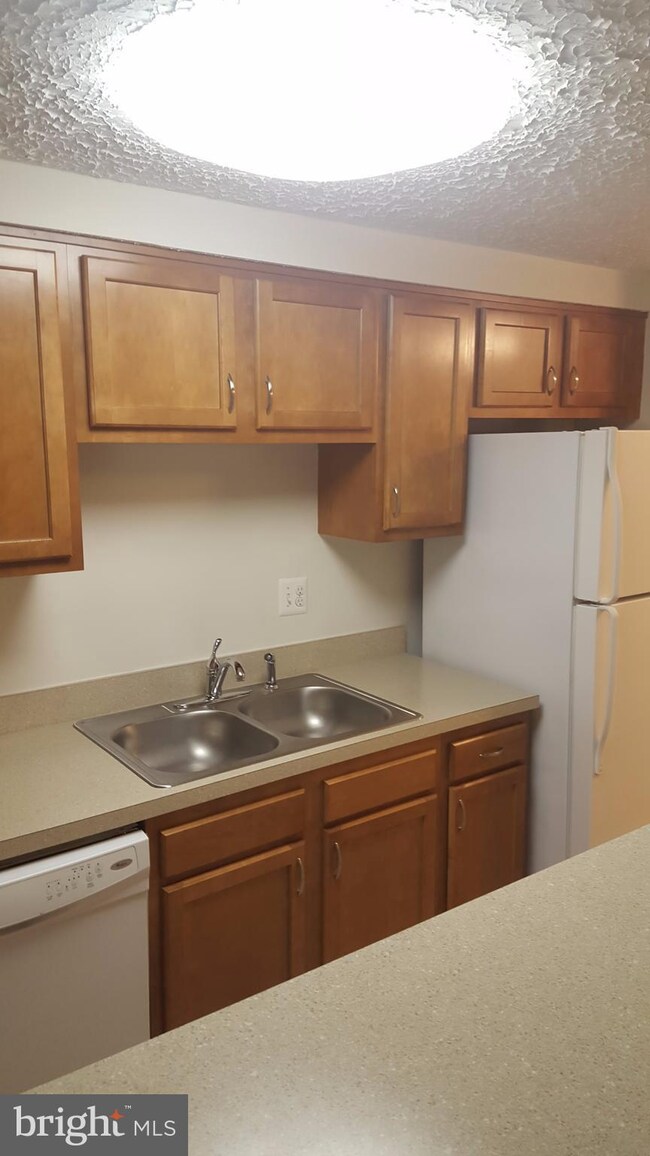 301 Palmspring Dr, Gaithersburg, MD 20878 - photo 4