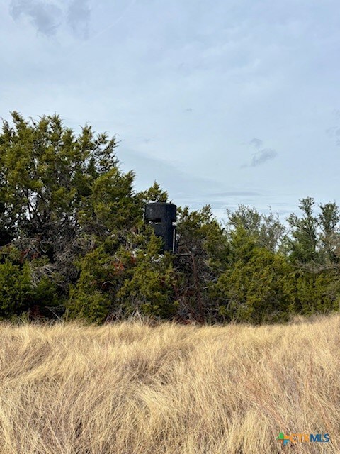 Unassigned County Road 3270, Kempner, TX 76539 - photo 5