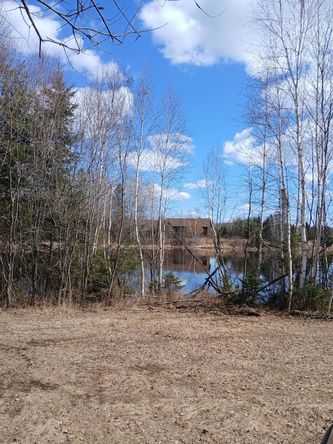 Lot 31 Shady Knoll Rd unit Lot 31, Fifield, WI 54552 - photo 4