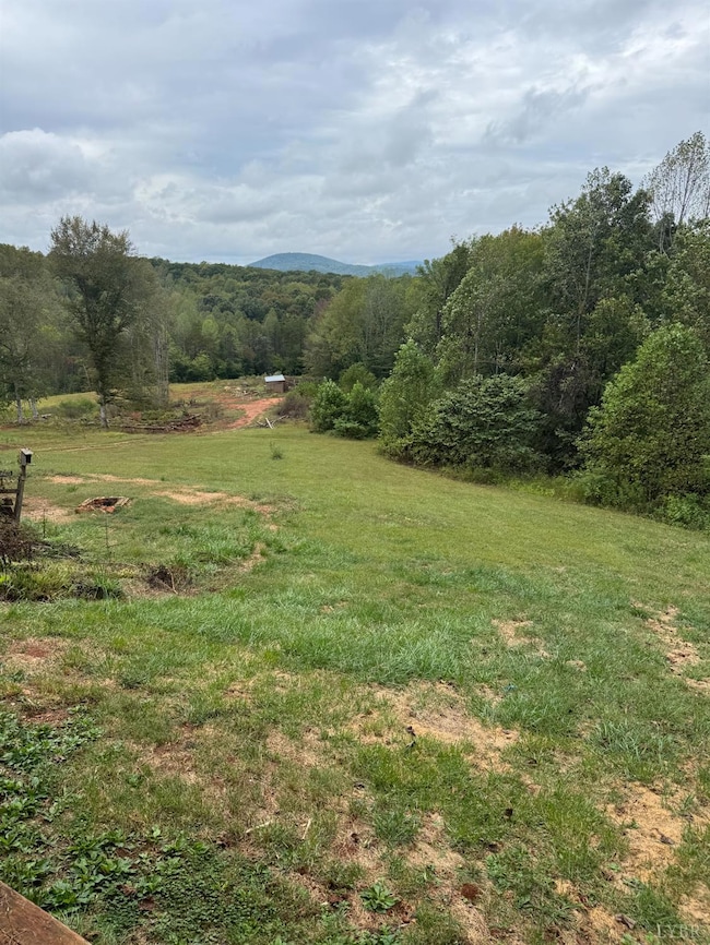 2417 Hunting Lodge Rd, Schuyler, VA 22969 - photo 5