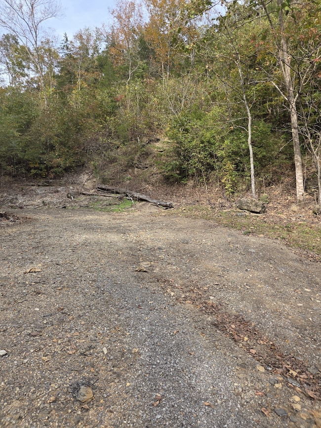 9436 Highway 100, Nashville, TN 37221 - photo 7