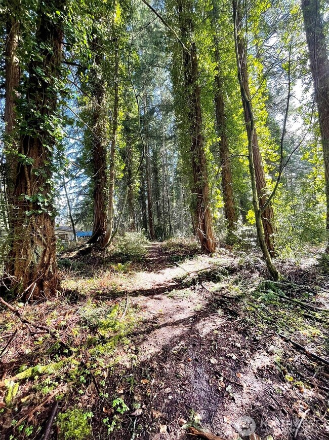 Room enough for your own forest walk.