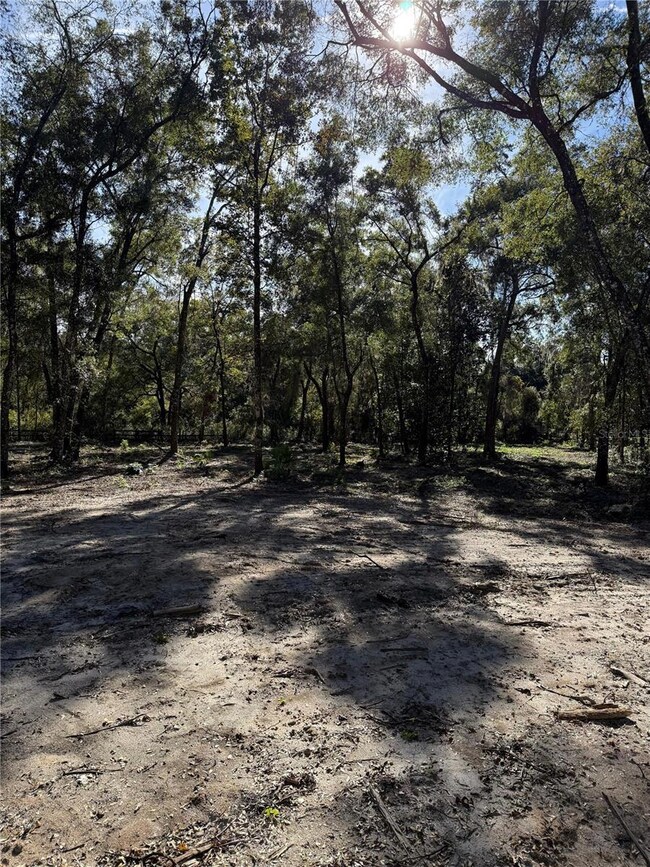 0 NW 7th Place, Ocala, FL 34482 - photo 5