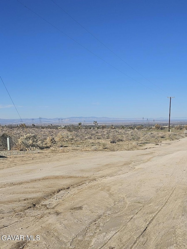 111 Ste Drt Vic V14 Ste, Pearblossom, CA 93553 - photo 5