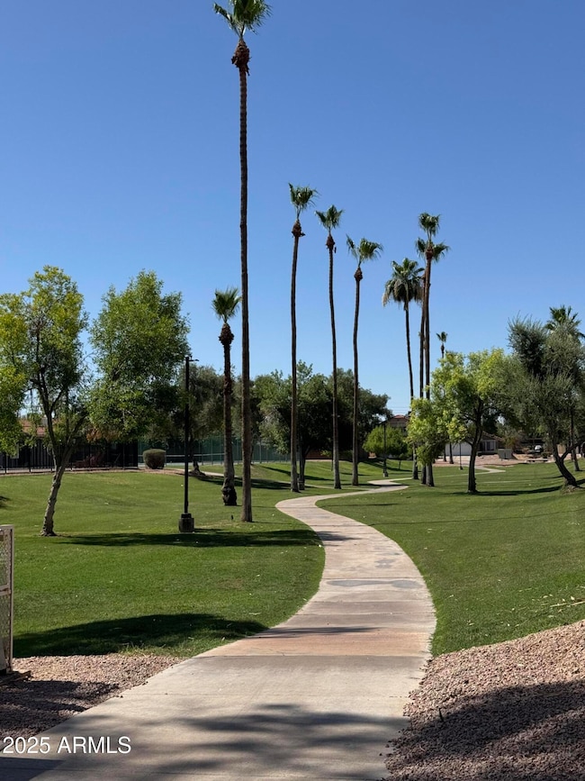 2474 W Orchid Ln, Chandler, AZ 85224 - photo 5