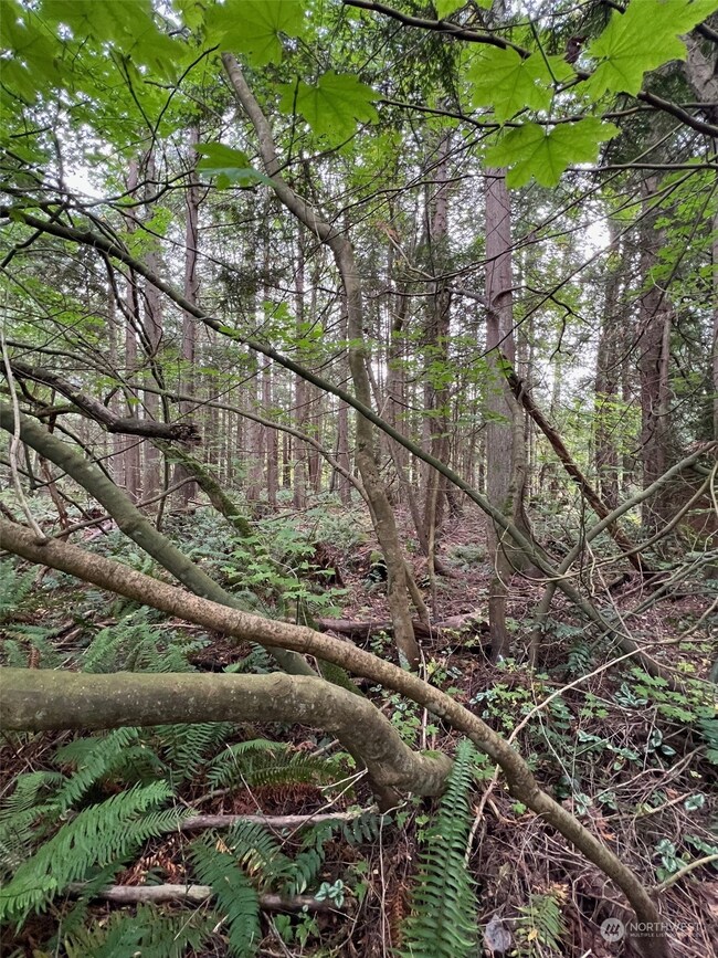 0 Lot 24 Georgia Ct, Point Roberts, WA 98281 - photo 4