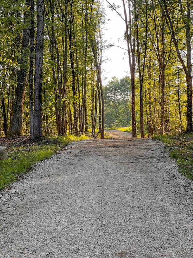 GoodwinDriveway