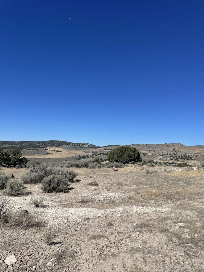 TBD Emigrant Trail, Spring Creek, NV 89815 - photo 4