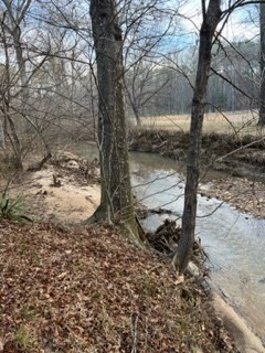 12100 County Line Rd, Midland, GA 31820 - photo 3