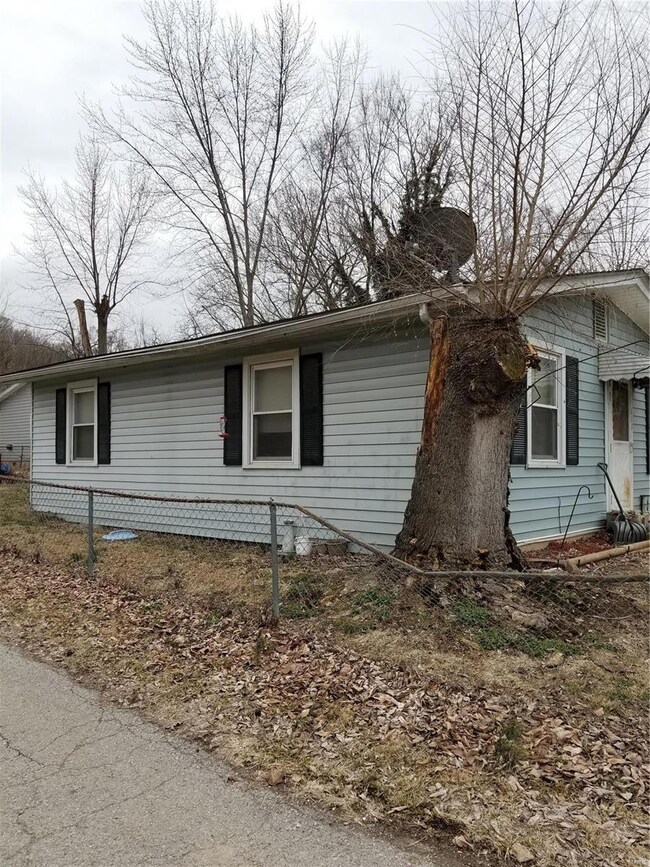 117 O Fallon St, Hannibal, MO 63401 - photo 4