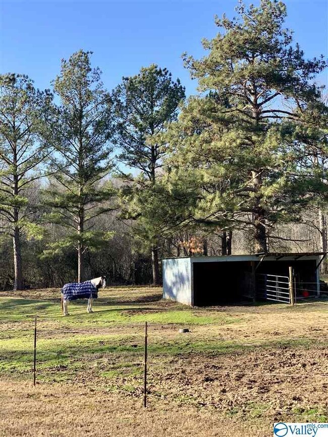 1349 County Road 117, Rogersville, AL 35652 - photo 3