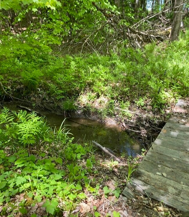 0 Bryant Rd L:16, Cummington, MA 01026 - photo 4