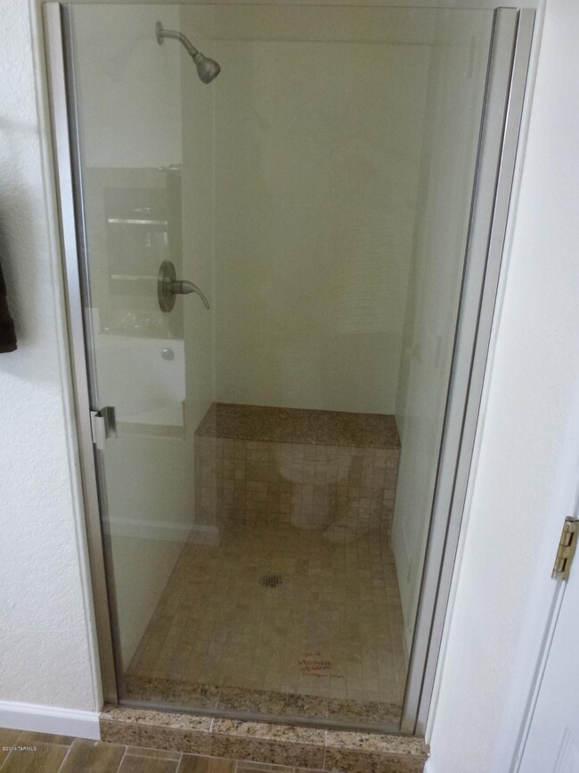 Master Bath Shower