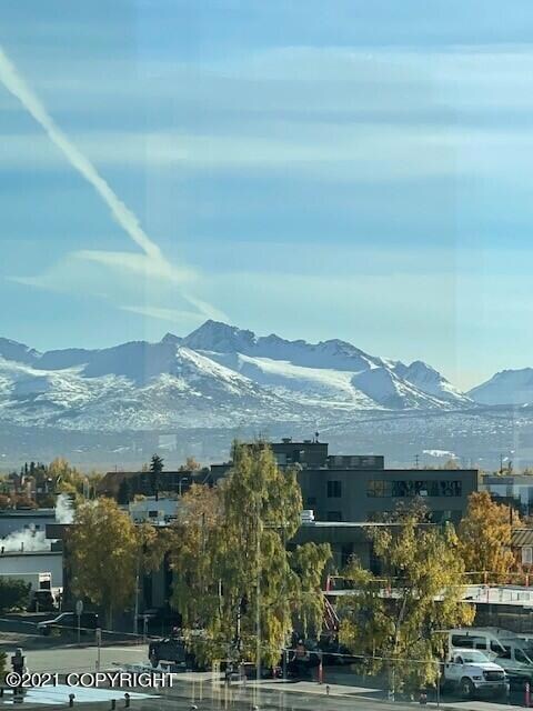Views from the Living Room