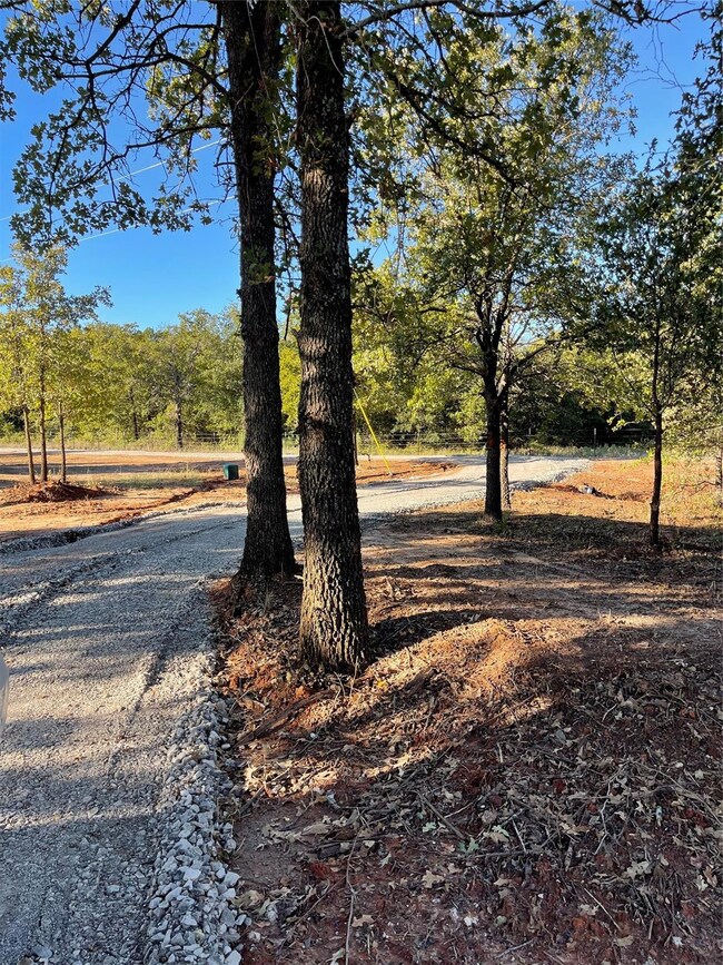 901 Erwin Rd, Poolville, TX 76487 - photo 6