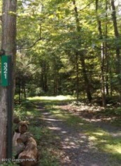 321 Lizzie Ln, Cresco, PA 18326 - photo 2