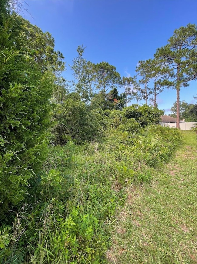 7 Birchfield Place, Palm Coast, FL 32137 - photo 4