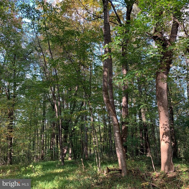 0 Mountain Ridge Way unit VACU2004116, Culpeper, VA 22701 - photo 3