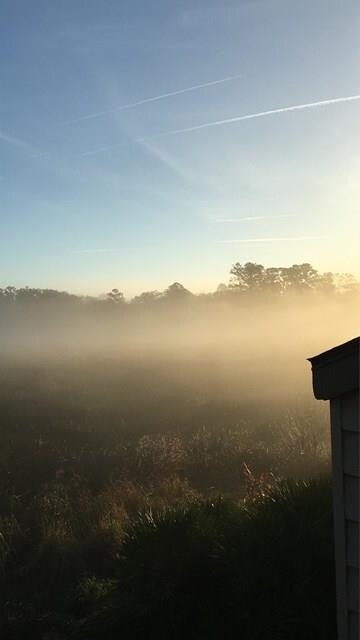 Watch the sun rise over the marsh