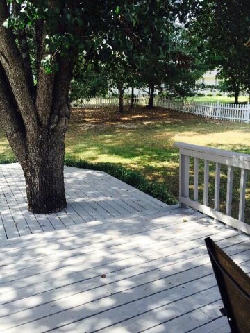 305 Forest Pine Ct, Macon, GA 31216 - photo 4