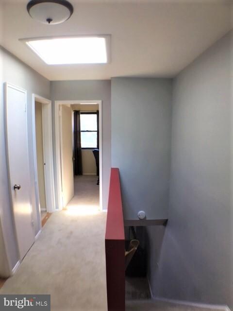 824 S Dinwiddie St, Arlington, VA 22204 - photo 4