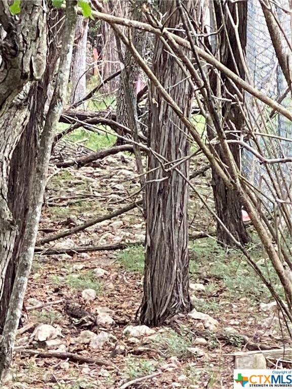 5303 Comanche Dr, Temple, TX 76502 - photo 5