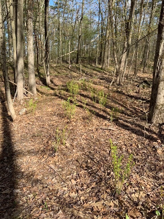 102 Knower Rd, Westminster, MA 01473 - photo 4