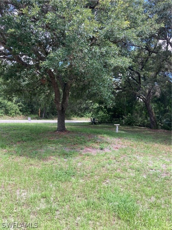 1905 Robert Ave, Lehigh Acres, FL 33972 - photo 3