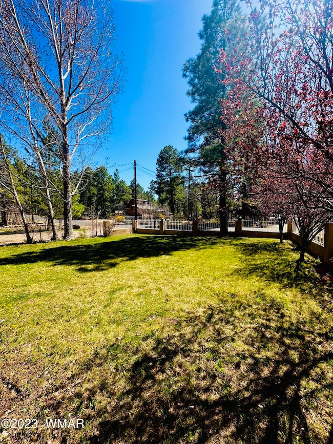 1080 W Apache Ln, Lakeside, AZ 85929 - photo 4