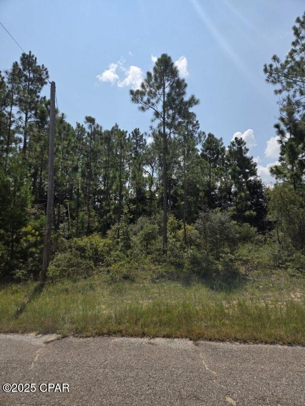 00 Flagler Dr, Chipley, FL 32428 - photo 6