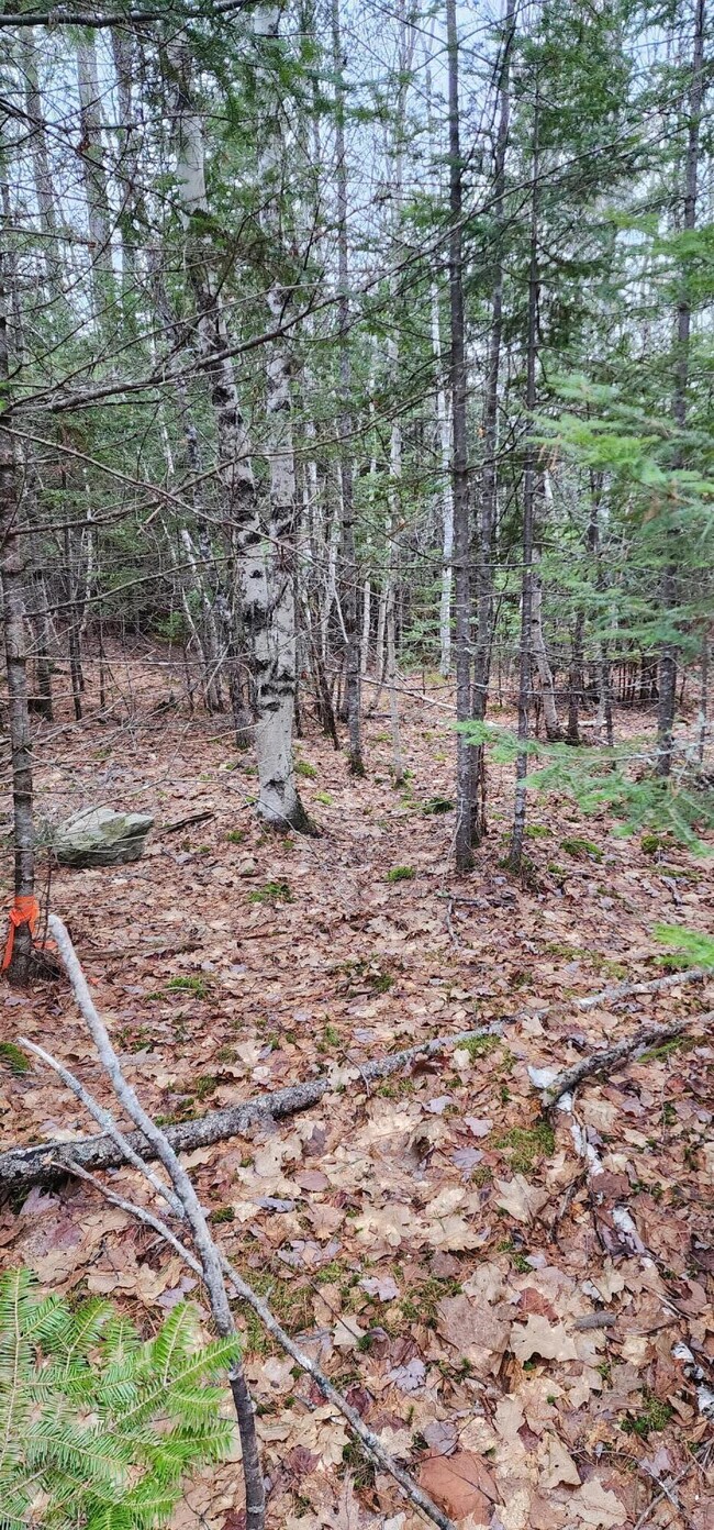 106 Carol Ct, Bangor, ME 04401 - photo 4