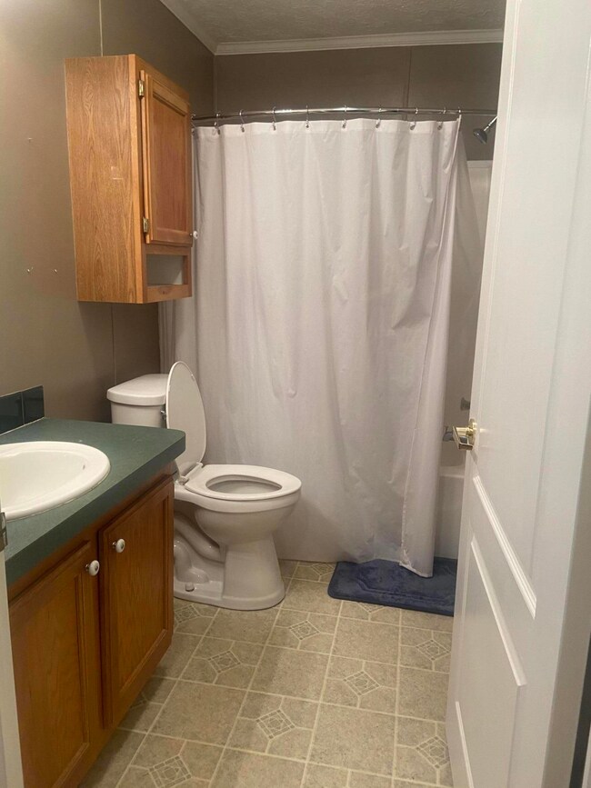 205 N 3rd St, Watauga, TN 37694 - photo 4