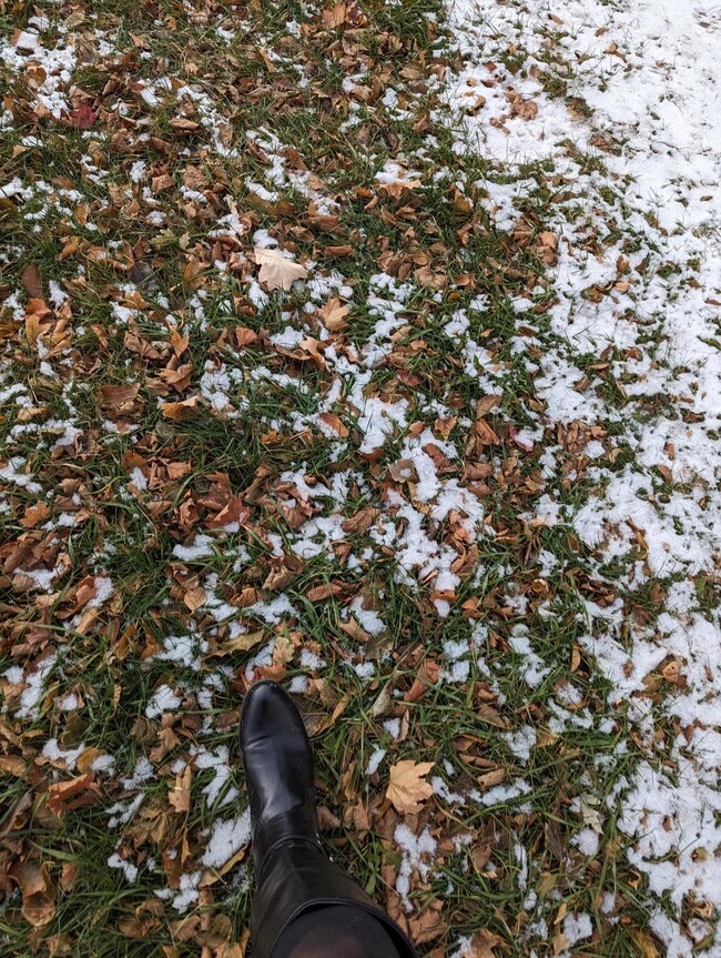 TBD 11th Ave NE, Rochester, MN 55904 - photo 2